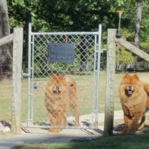 Meet your Posher, Carol